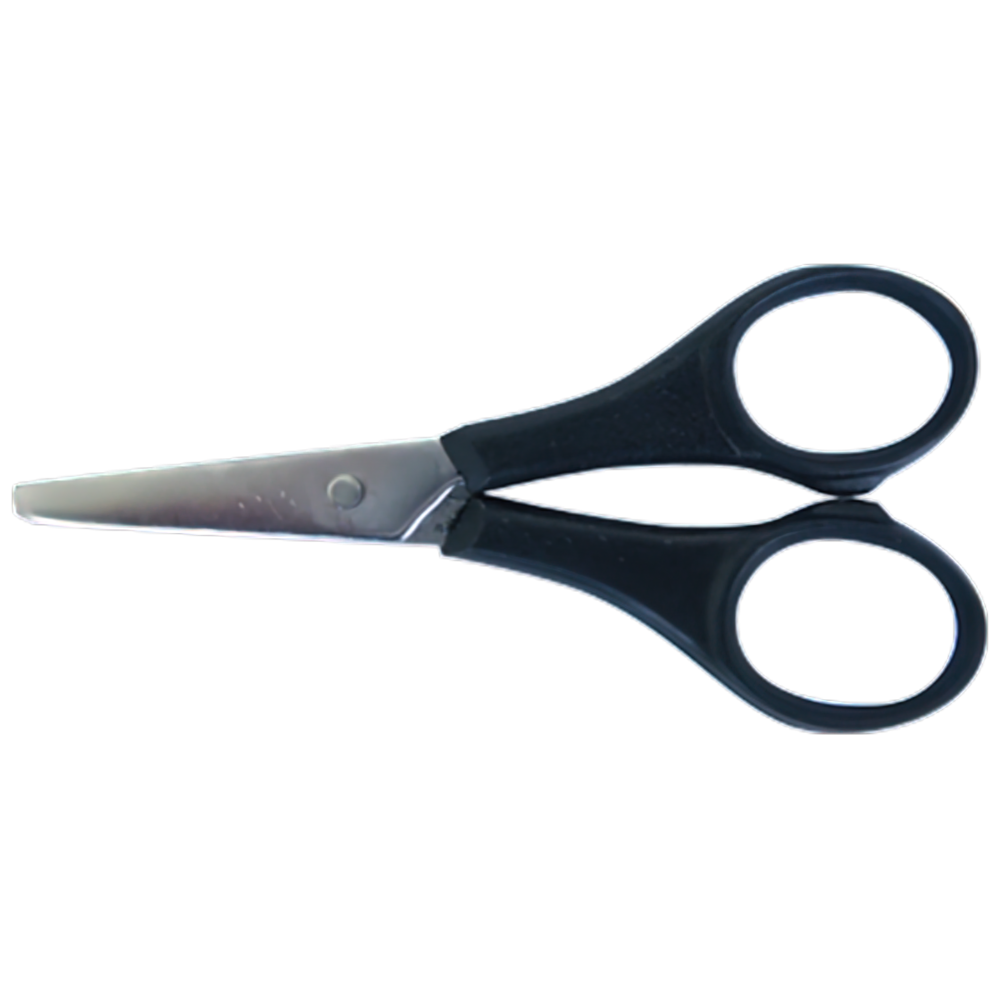 AEROINSTRUMENT Stainless Steel Scissors with Plastic Handle 9cm Image