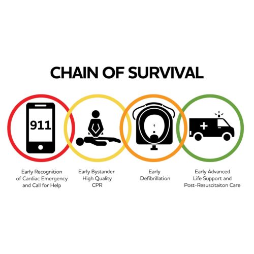 chainofsurvival_web