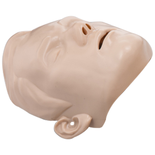 Brayden Manikin Face Skin