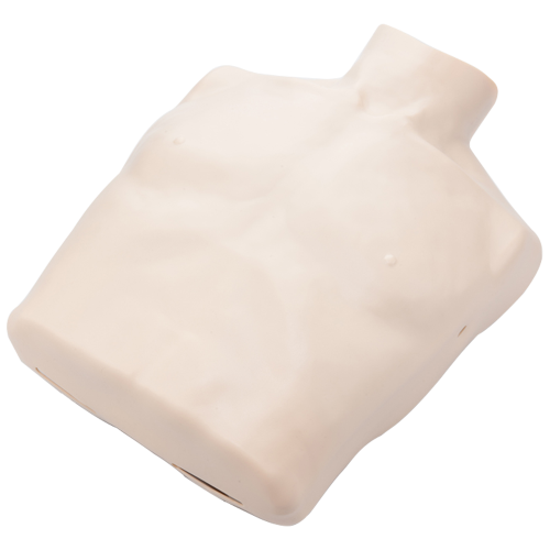 Brayden Manikin Body Skin