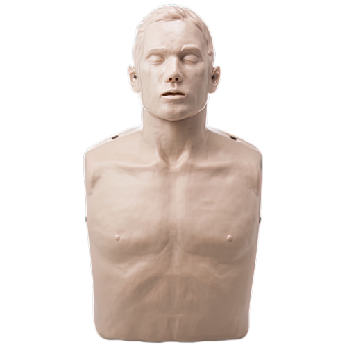 Brayden Static CPR Manikin