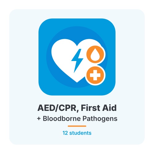 AED/CPR/First Aid + BBP Training Course - 12 Students