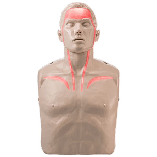 BRAYDEN Pulse CPR Manikin (With Lights)